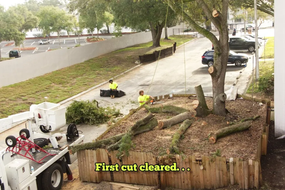 Top-rated yard maintenance near you across Tampa, FL - Champion Tree Care