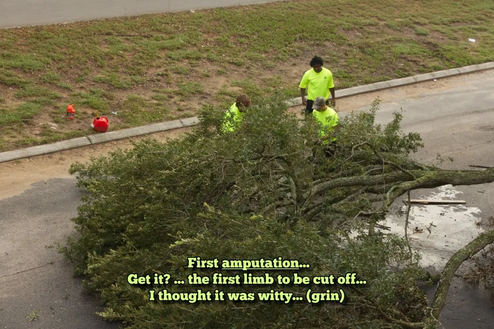 Trusted landscaping services experts serving Tampa, FL - Champion Tree Care