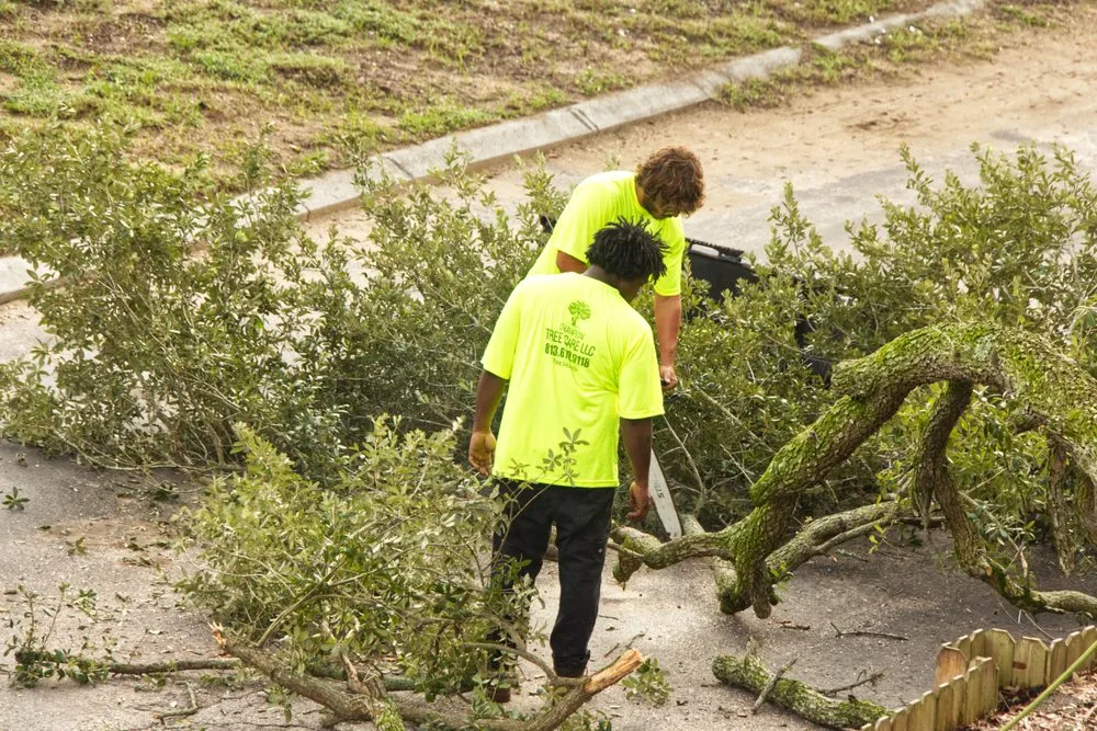 Reliable lawn mowing service for outdoor upgrades across Tampa, FL - Champion Tree Care