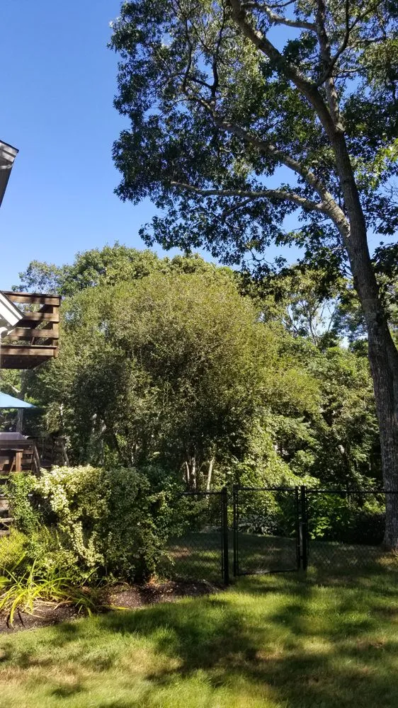 Reliable landscape design for homes across Yarmouth Port, MA - Champion Tree Work