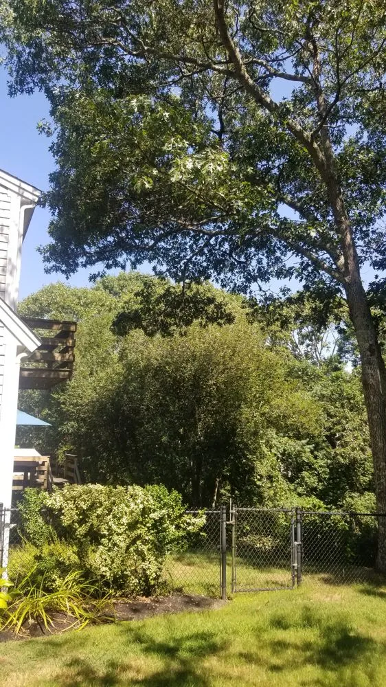 Top-rated outdoor landscaping for outdoor upgrades across Yarmouth Port, MA - Champion Tree Work