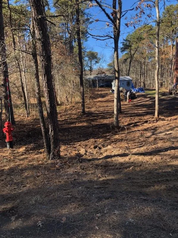 Custom garden landscaping in Yarmouth Port, MA - Champion Tree Work