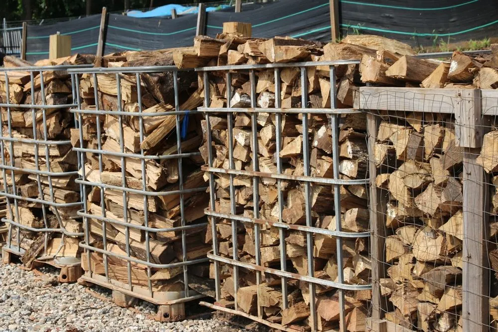 Top-rated lawn care service near you in Smyrna, GA by Champion Yard Services