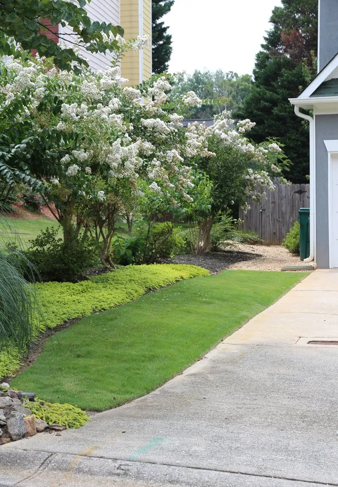 Professional yard cleanup service experts serving Smyrna, GA - Champion Yard Services