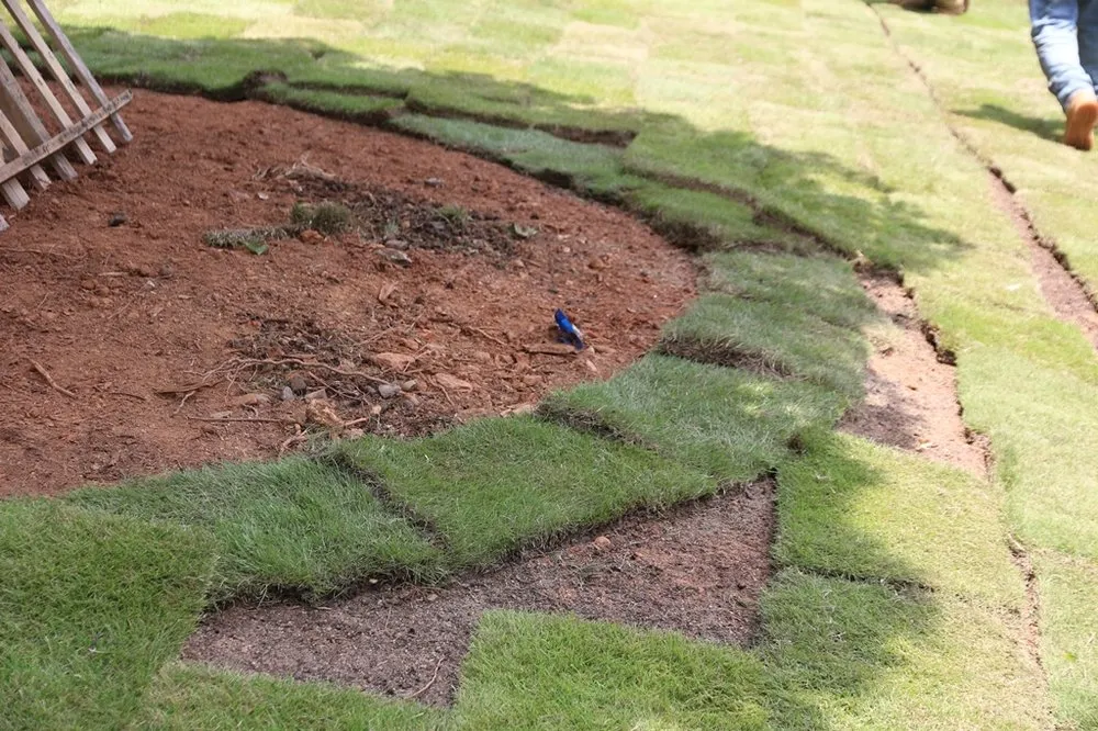 Top-rated residential landscaping for homes in Smyrna, GA by Champion Yard Services