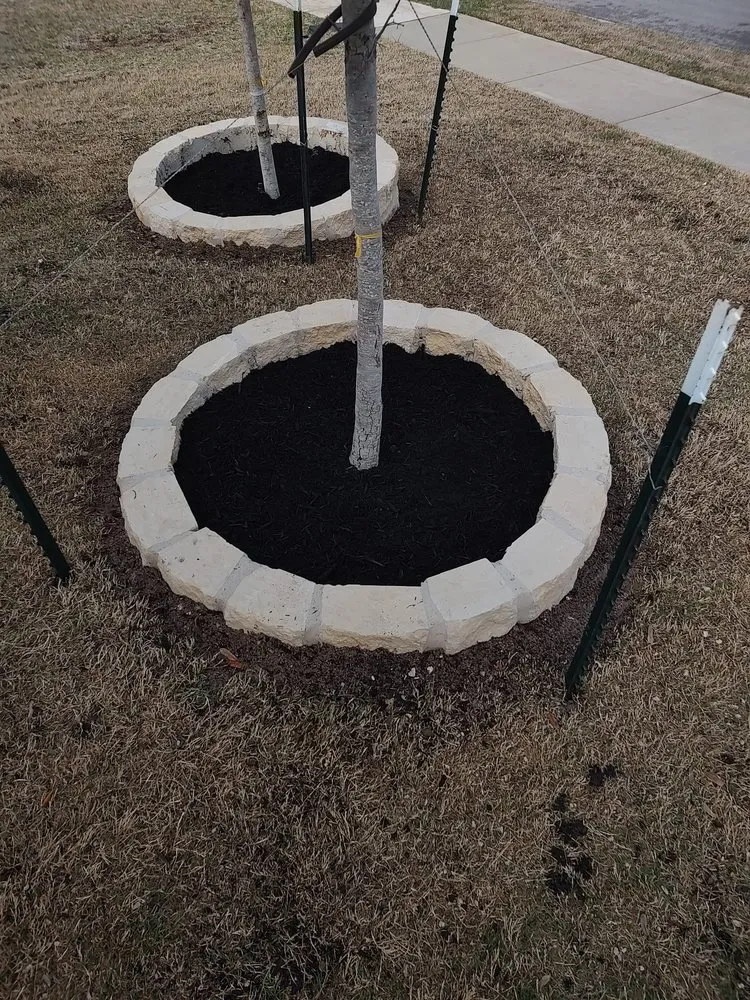 Professional yard cleanup service with custom design in Harker Heights, TX by Champions Lawn Care and More