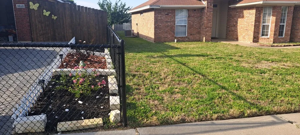 Expert lawn mowing service in Harker Heights, TX by Champions Lawn Care and More