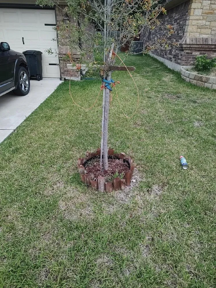 Affordable landscape installation in Harker Heights, TX by Champions Lawn Care and More