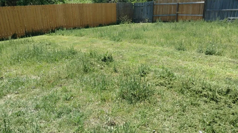 Custom residential landscaping in Harker Heights, TX - Champions Lawn Care and More