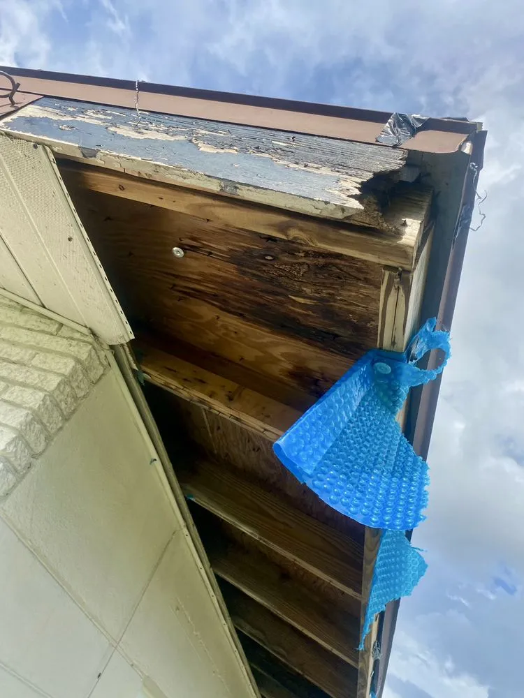 Expert outdoor landscaping in Cape Coral, FL by Champions Lee