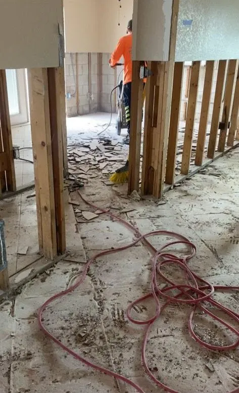 Expert landscaping services for residential properties across Cape Coral, FL - Champions Lee