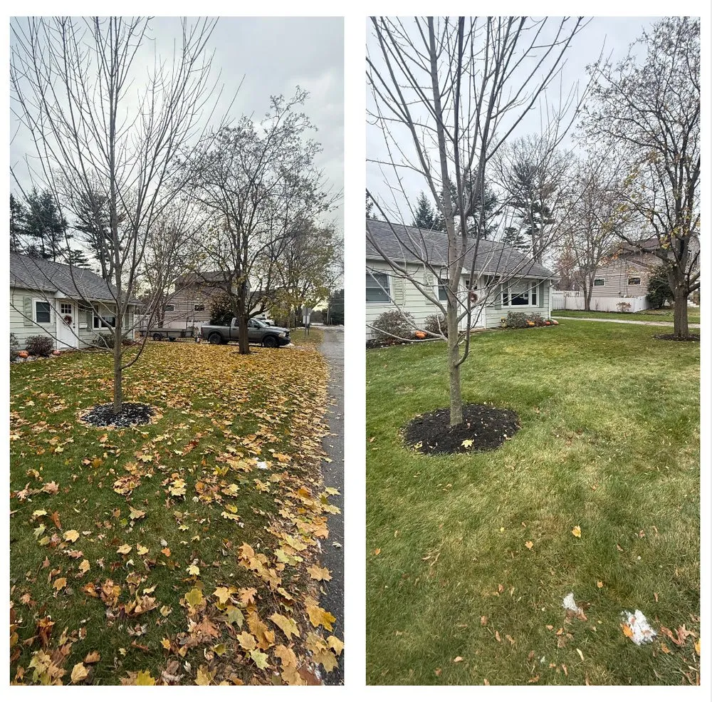 Top-rated garden landscaping for residential properties in Milton, VT by Champlain Landscaping