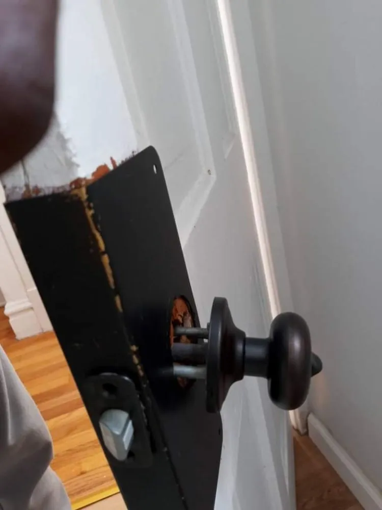 Trusted outdoor landscaping experts serving Saint Louis, MO - Champs handyman Service