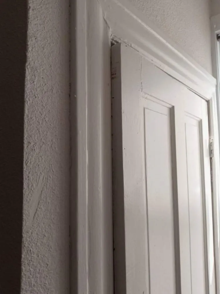 Top-rated yard cleanup service in Saint Louis, MO by Champs handyman Service