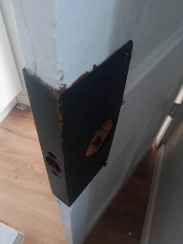 Reliable landscape installation for beautiful yards in Saint Louis, MO by Champs handyman Service