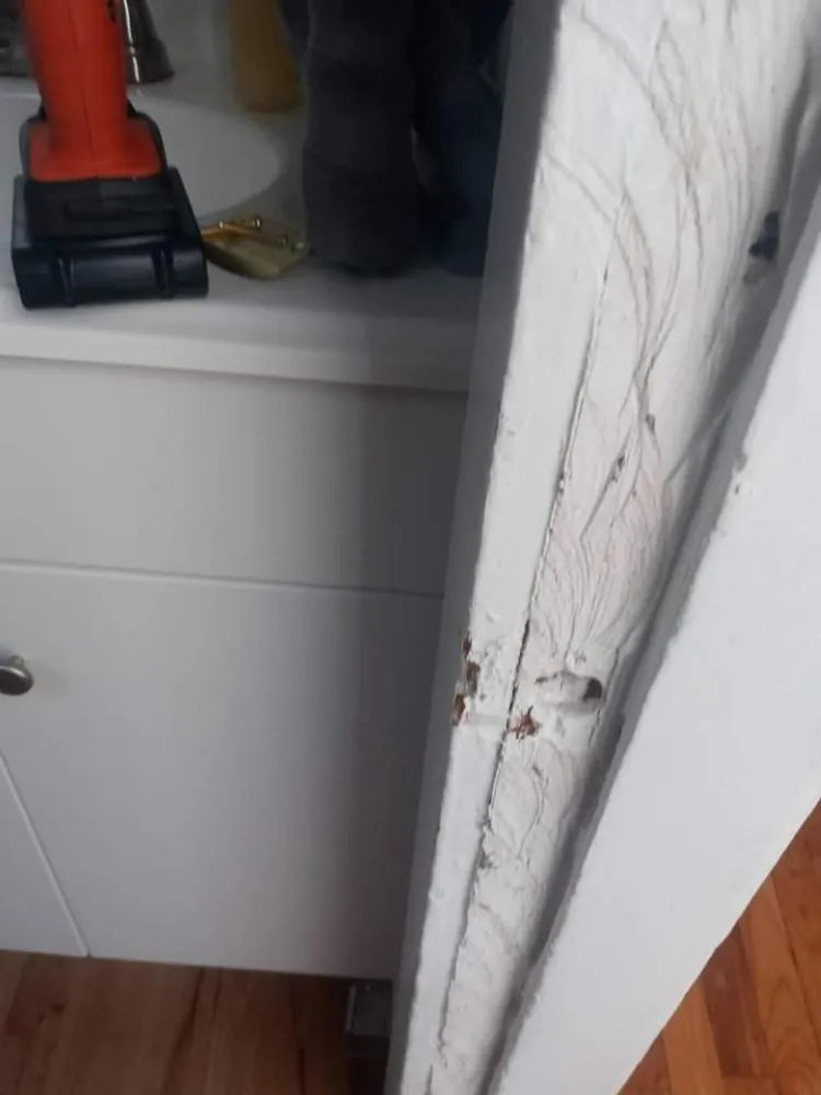 Trusted garden landscaping for residential properties in Saint Louis, MO by Champs handyman Service