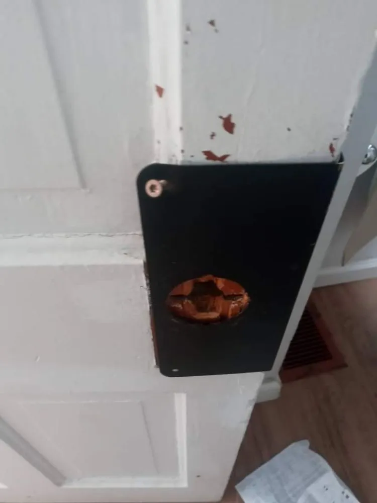 Trusted outdoor landscaping for homes across Saint Louis, MO - Champs handyman Service