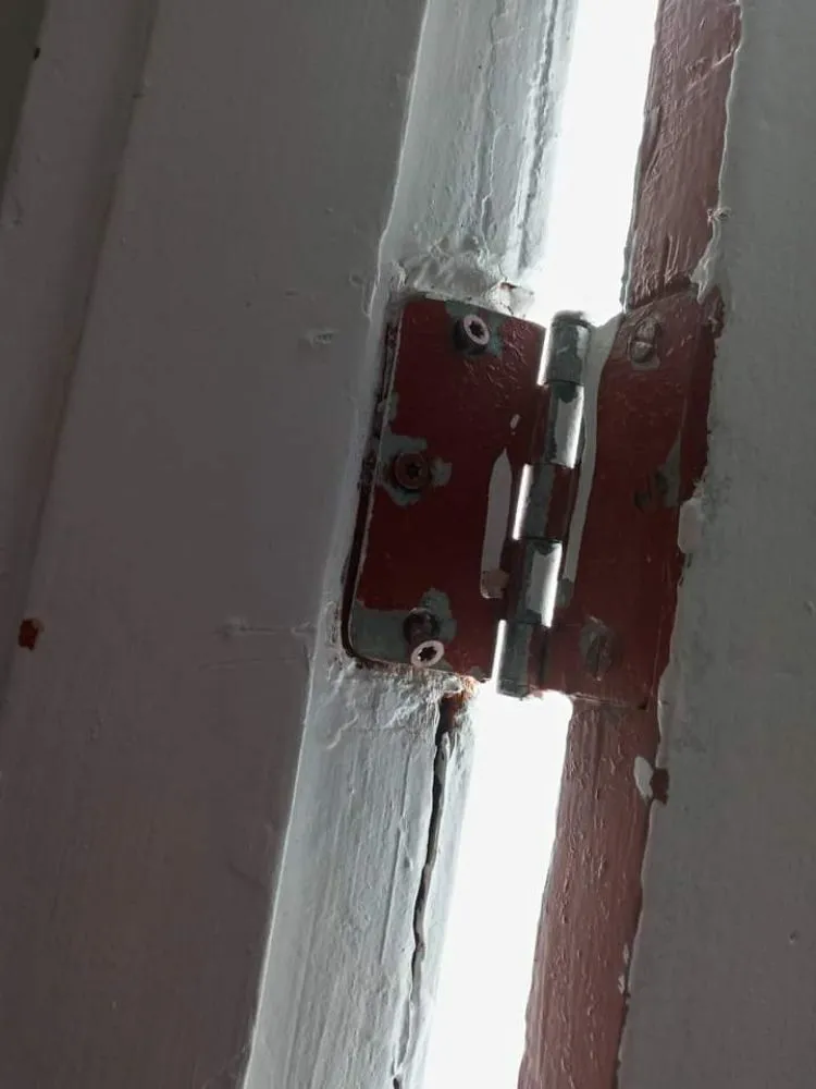 Trusted landscape installation for year-round maintenance across Saint Louis, MO - Champs handyman Service