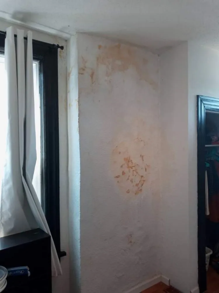 Local landscaping services in Saint Louis, MO - Champs handyman Service