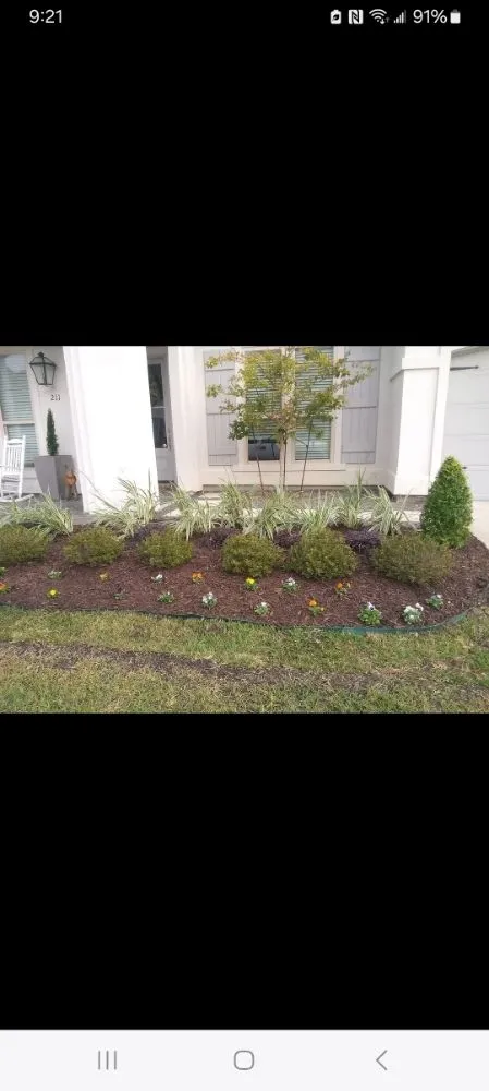 Expert yard cleanup service near you across Saint Martinville, LA - Champs Services