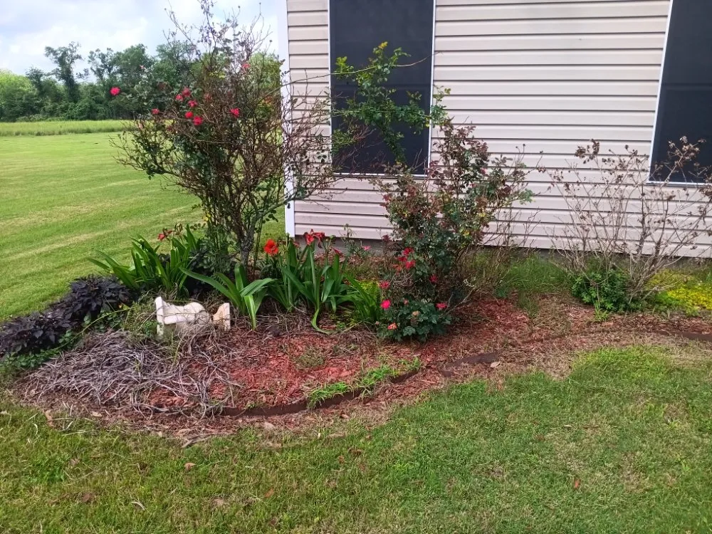 Custom yard cleanup service for year-round maintenance across Saint Martinville, LA - Champs Services