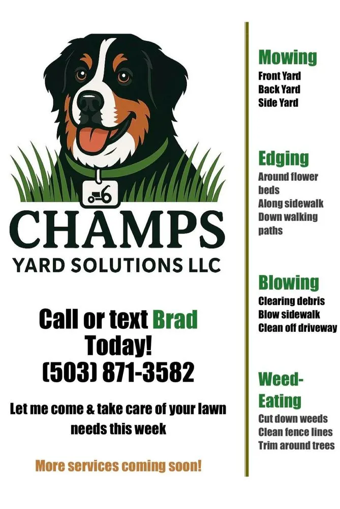 Custom yard cleanup service for year-round maintenance in Woodland, WA by Champs Yard Solutions
