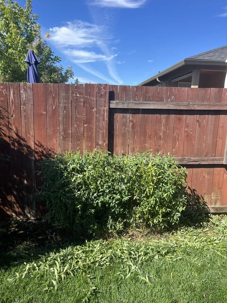 Expert landscape installation in Woodland, WA by Champs Yard Solutions