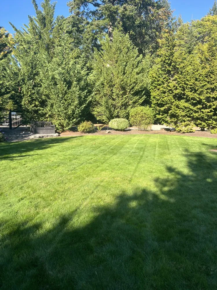 Top-rated garden landscaping near you across Woodland, WA - Champs Yard Solutions