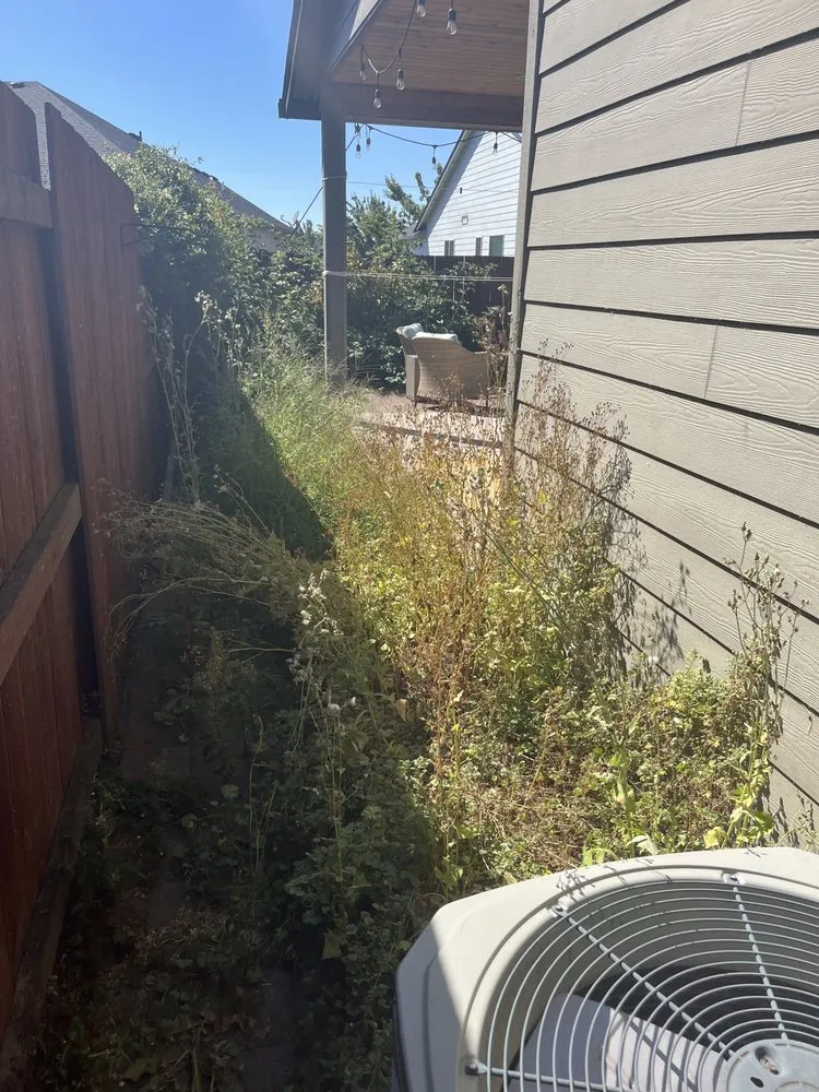 Custom landscape design experts serving Woodland, WA - Champs Yard Solutions