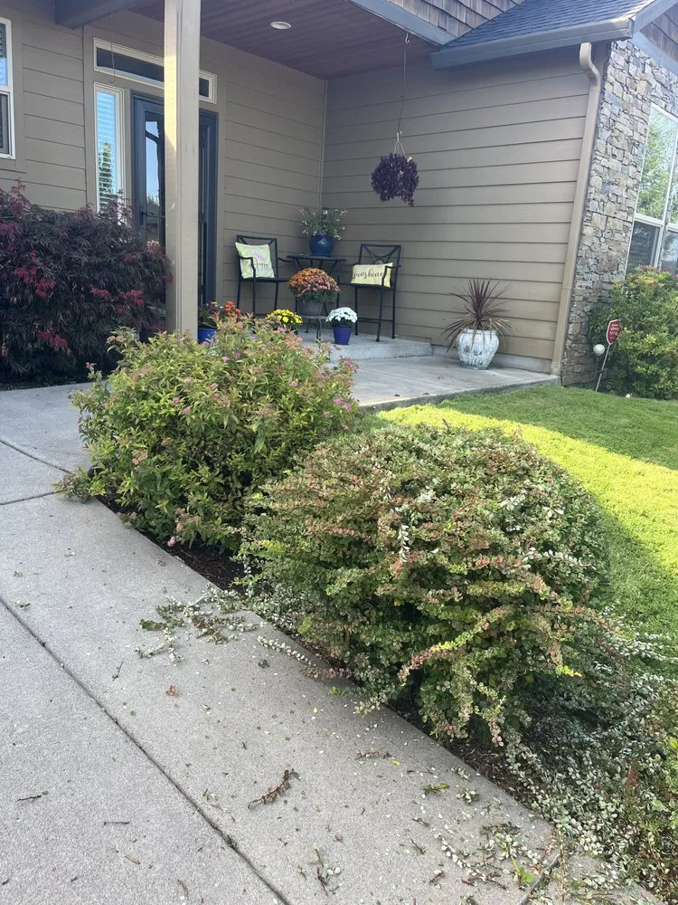Professional outdoor landscaping experts serving Woodland, WA - Champs Yard Solutions