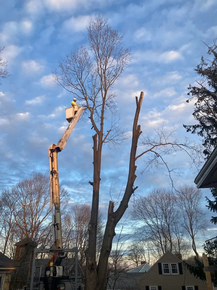 Reliable residential landscaping experts serving Oakdale, CT - Champspro Property Services