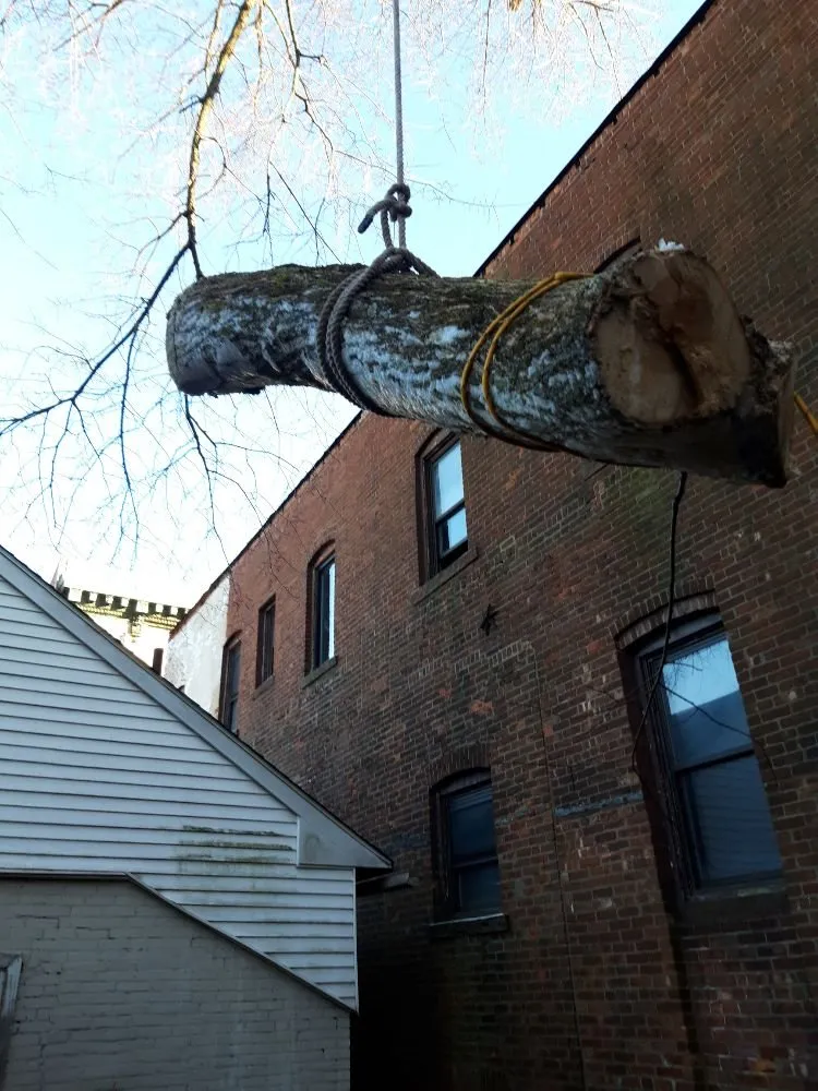 Trusted outdoor landscaping in Oakdale, CT by Champspro Property Services