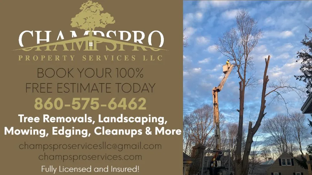 Custom landscaping services in Oakdale, CT - Champspro Property Services