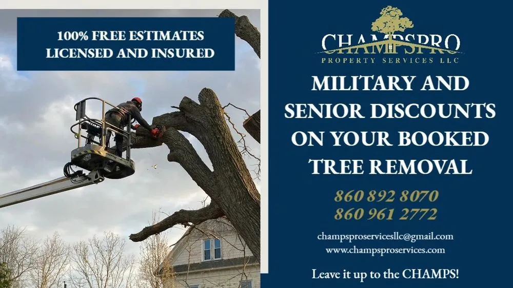 Trusted residential landscaping in Oakdale, CT by Champspro Property Services