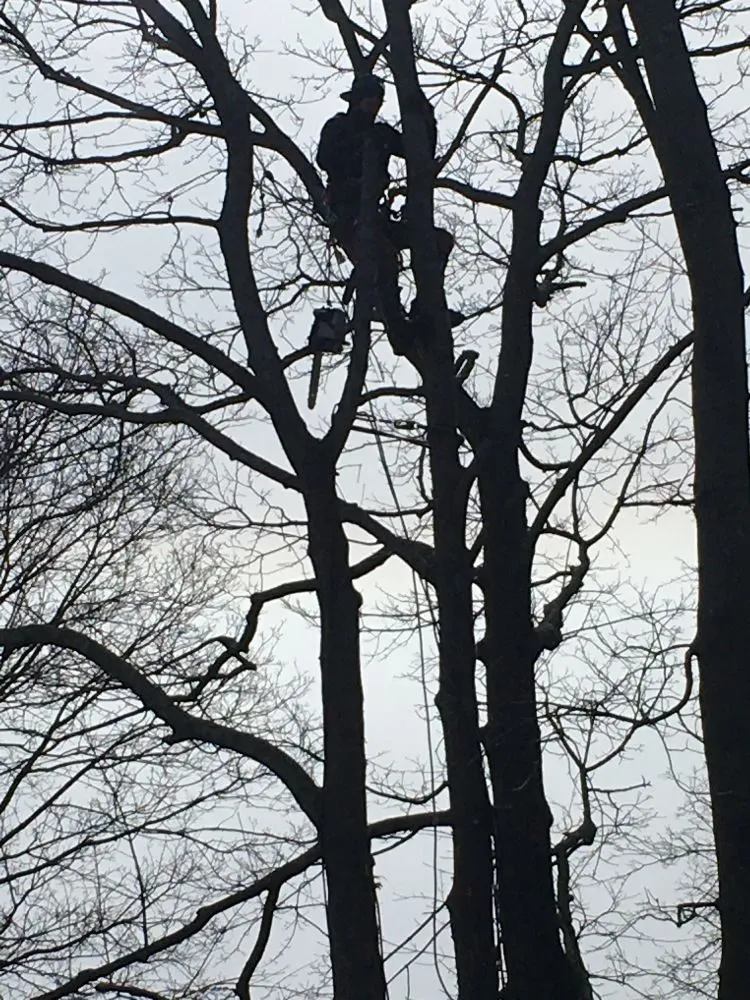 Reliable yard maintenance with custom design across Oakdale, CT - Champspro Property Services