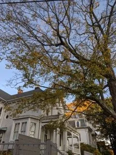 Custom lawn care service experts serving Oakdale, CT - Champspro Property Services