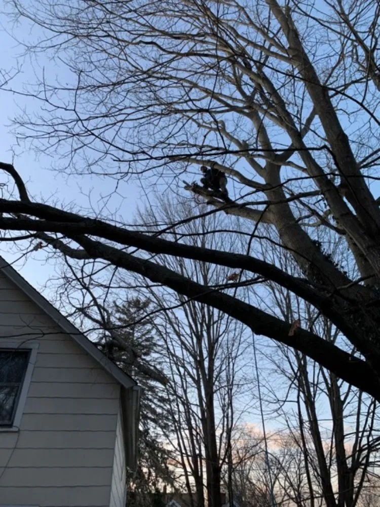 Professional landscaping services experts serving Oakdale, CT - Champspro Property Services