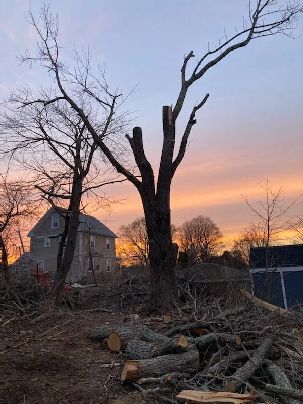 Trusted landscape design for homes across Oakdale, CT - Champspro Property Services