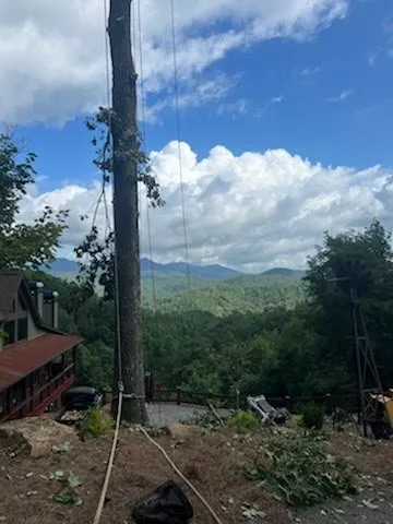 Custom garden landscaping for homes in Ellijay, GA by Chanax Tree Service And Landscaping