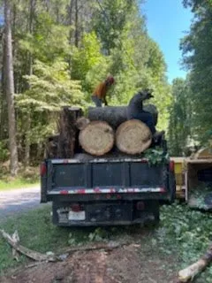 Local lawn care service near you across Ellijay, GA - Chanax Tree Service And Landscaping