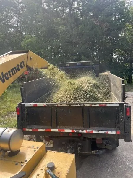 Affordable yard maintenance in Ellijay, GA by Chanax Tree Service And Landscaping