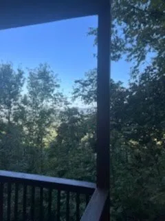 Professional landscaping services in Ellijay, GA - Chanax Tree Service And Landscaping