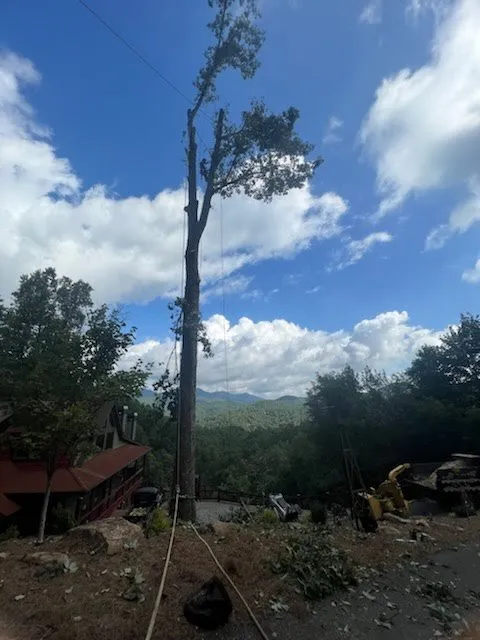 Professional lawn care service in Ellijay, GA - Chanax Tree Service And Landscaping