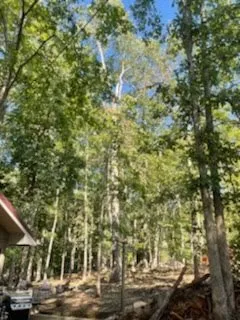 Local landscape installation in Ellijay, GA by Chanax Tree Service And Landscaping