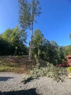 Professional yard maintenance for beautiful yards across Ellijay, GA - Chanax Tree Service And Landscaping