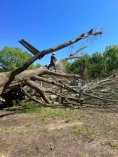 Expert landscaping services for residential properties across Ellijay, GA - Chanax Tree Service And Landscaping