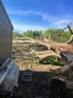 Local outdoor landscaping in Ellijay, GA by Chanax Tree Service And Landscaping