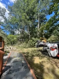 Trusted yard maintenance experts serving Ellijay, GA - Chanax Tree Service And Landscaping