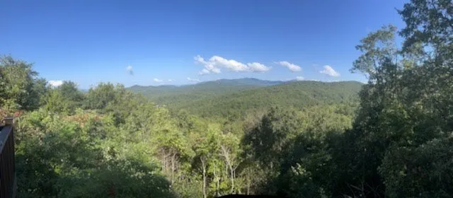 Top-rated residential landscaping experts serving Ellijay, GA - Chanax Tree Service And Landscaping