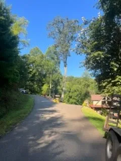 Top-rated yard cleanup service experts serving Ellijay, GA - Chanax Tree Service And Landscaping